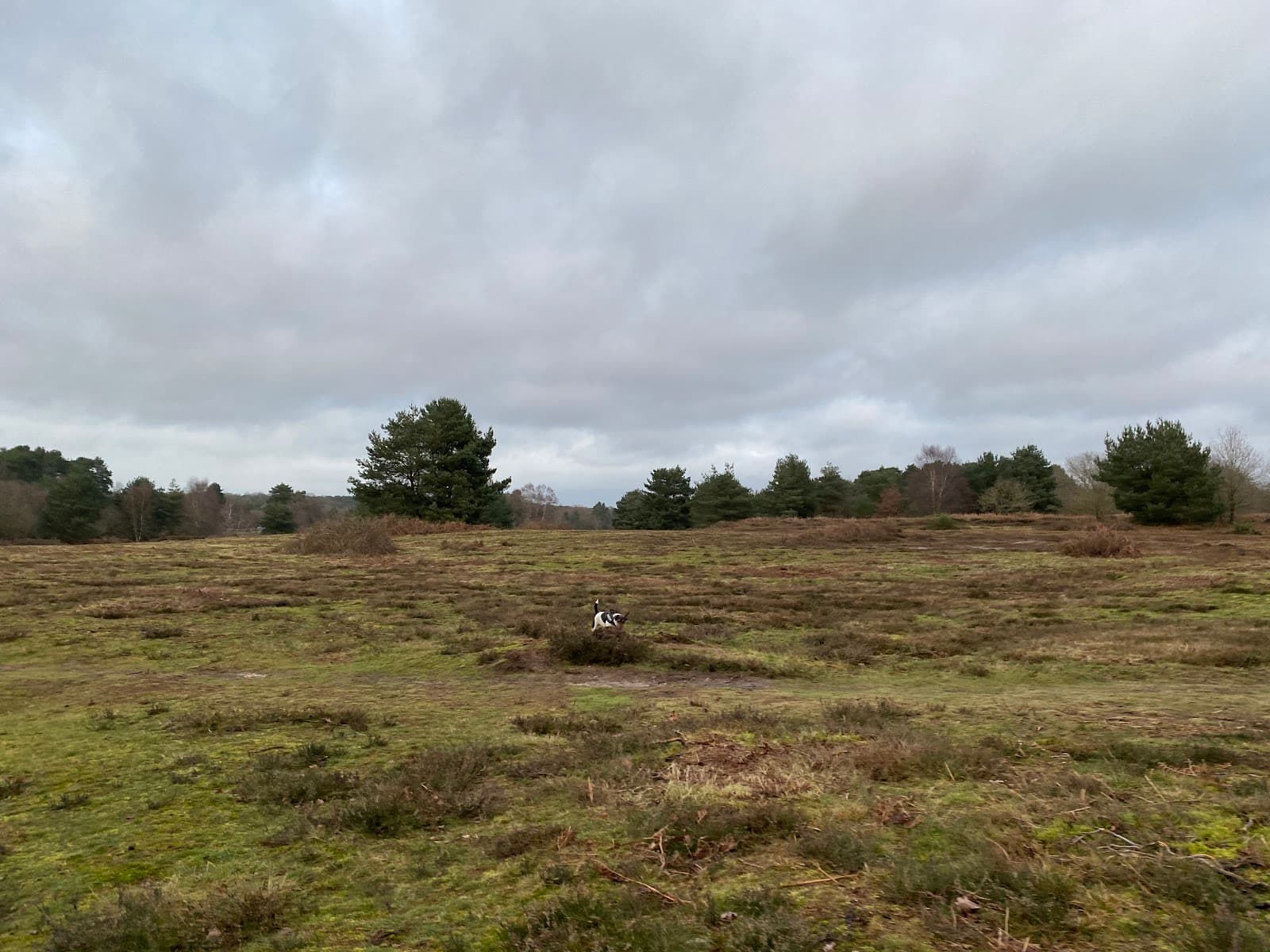 Knettishall Heath Country Park - Image 1