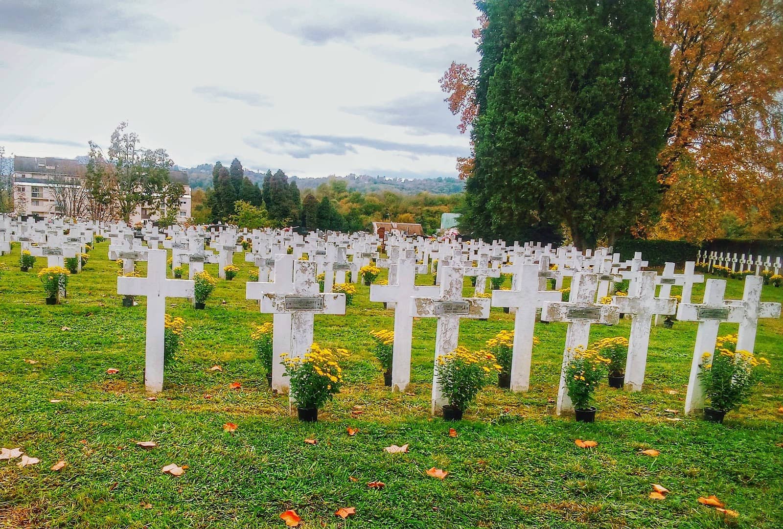 Well-Maintained Grounds