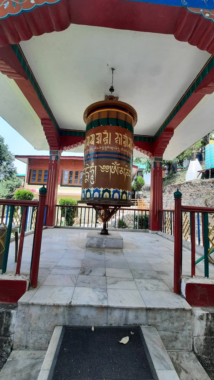 Vertical photo