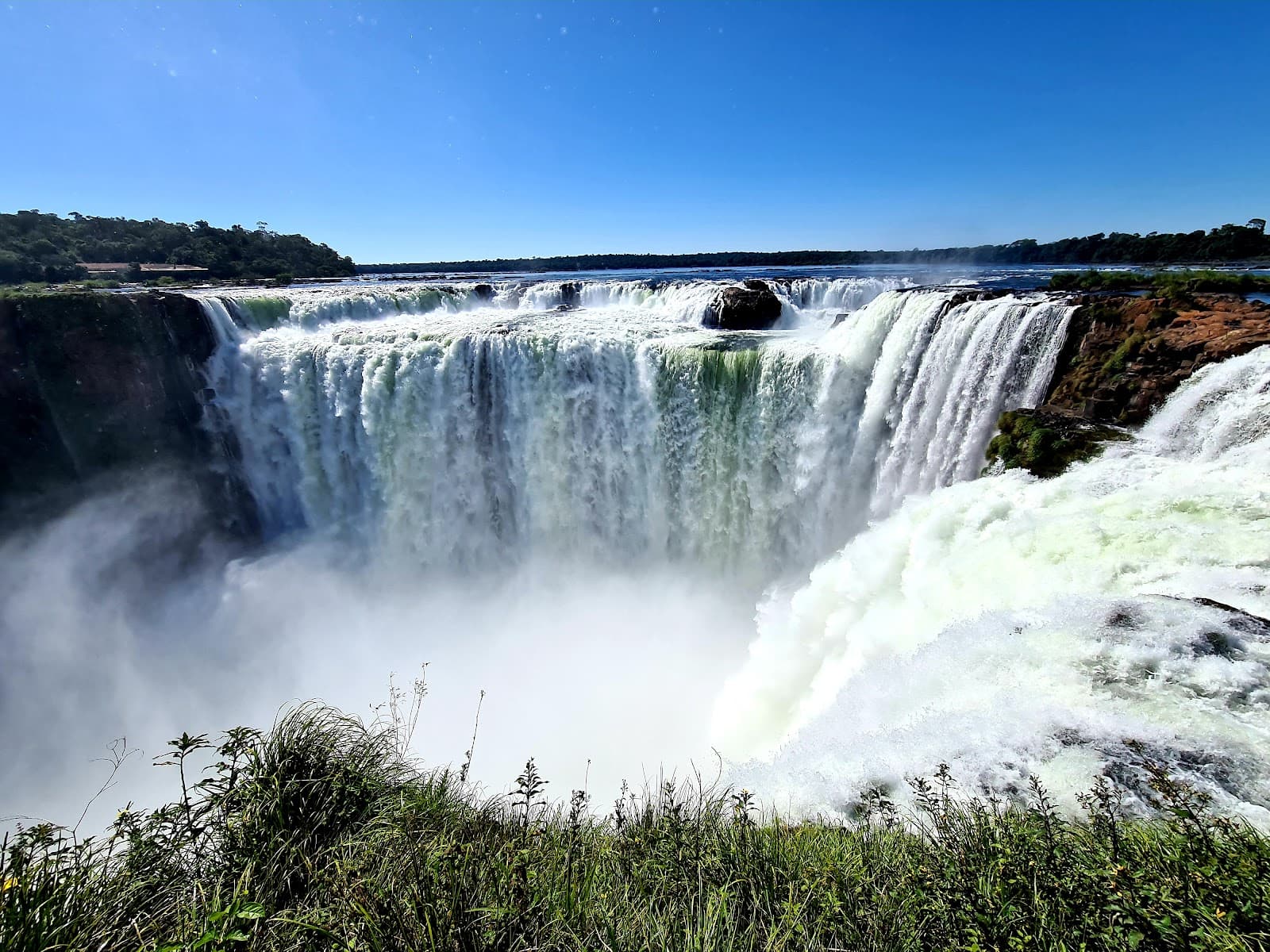 Ecological Jungle Train - Image 1