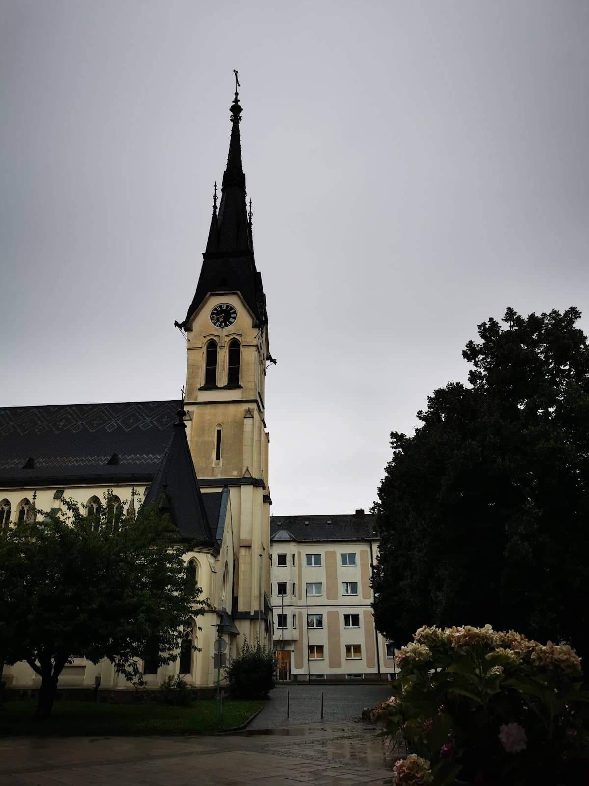 Vertical photo