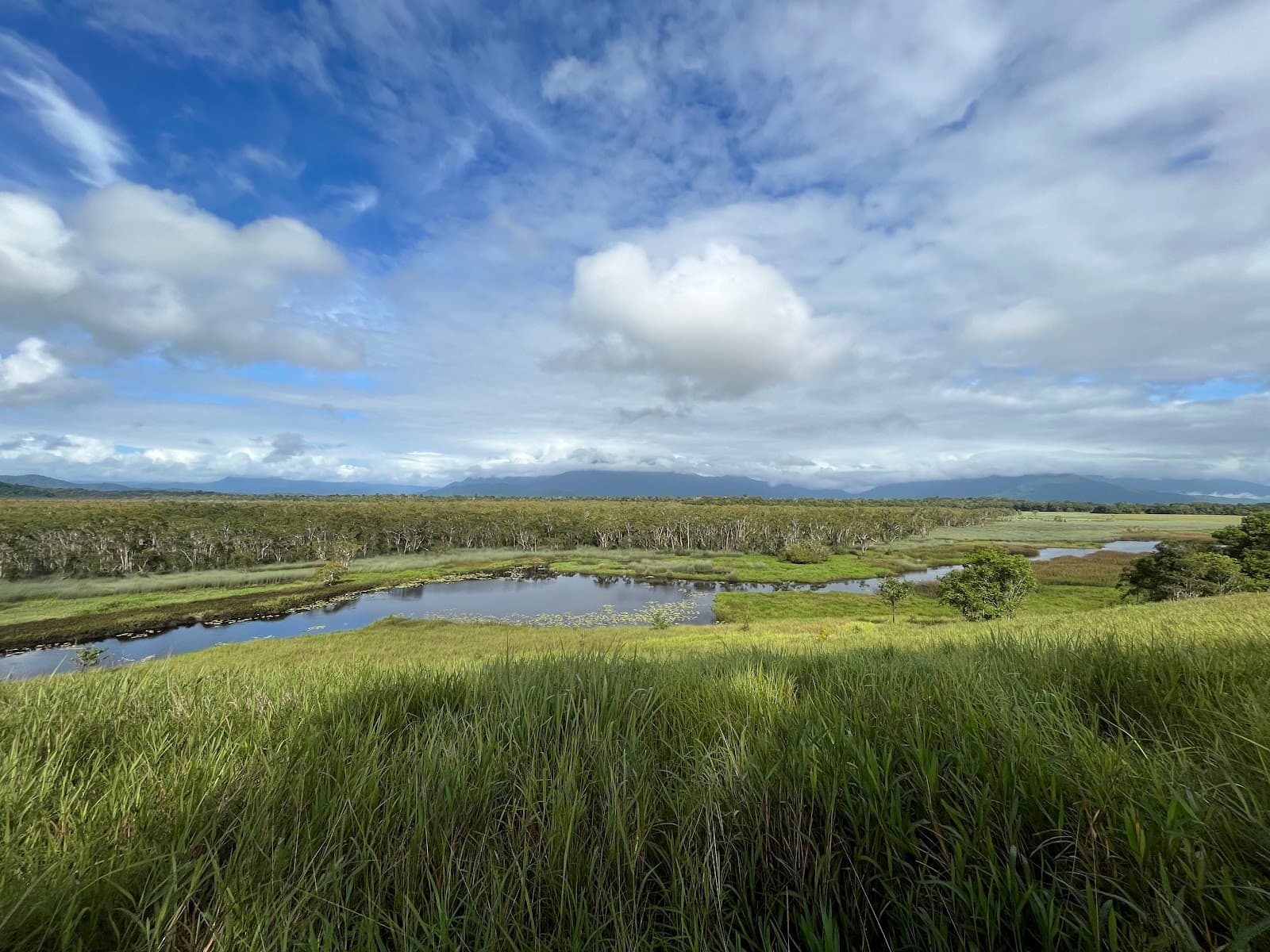 Eubenangee Swamp National Park - Image 1