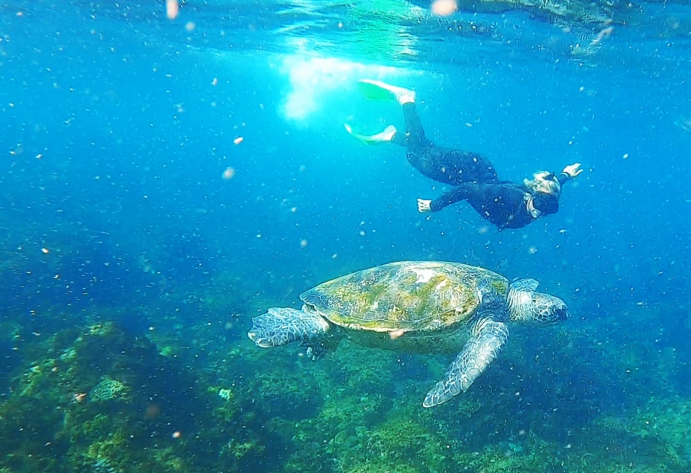 Cook Island Aquatic Reserve - Image 1