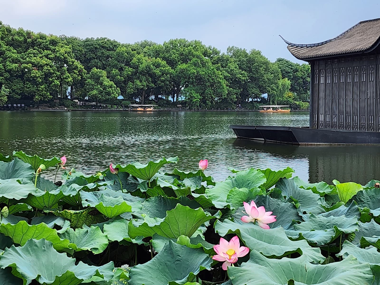 Quyuan Garden - Image 1