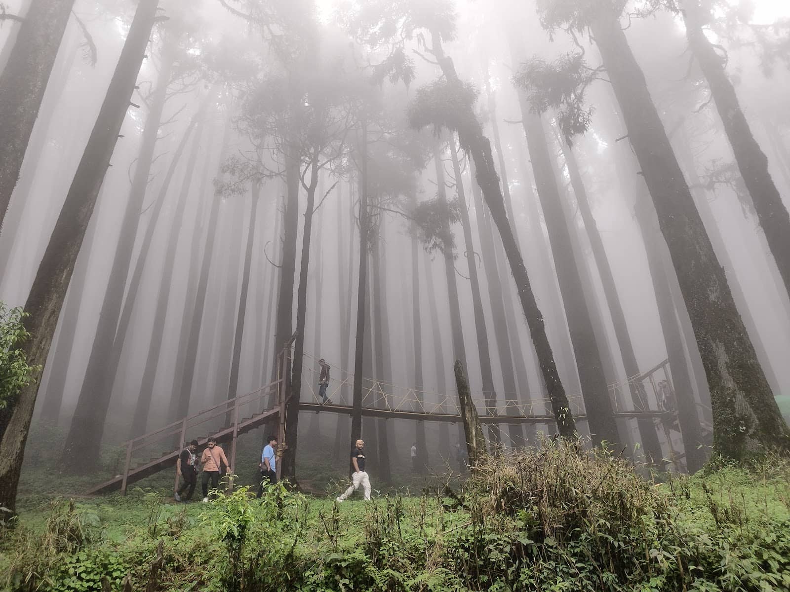 Hanging Bridge Photo Op