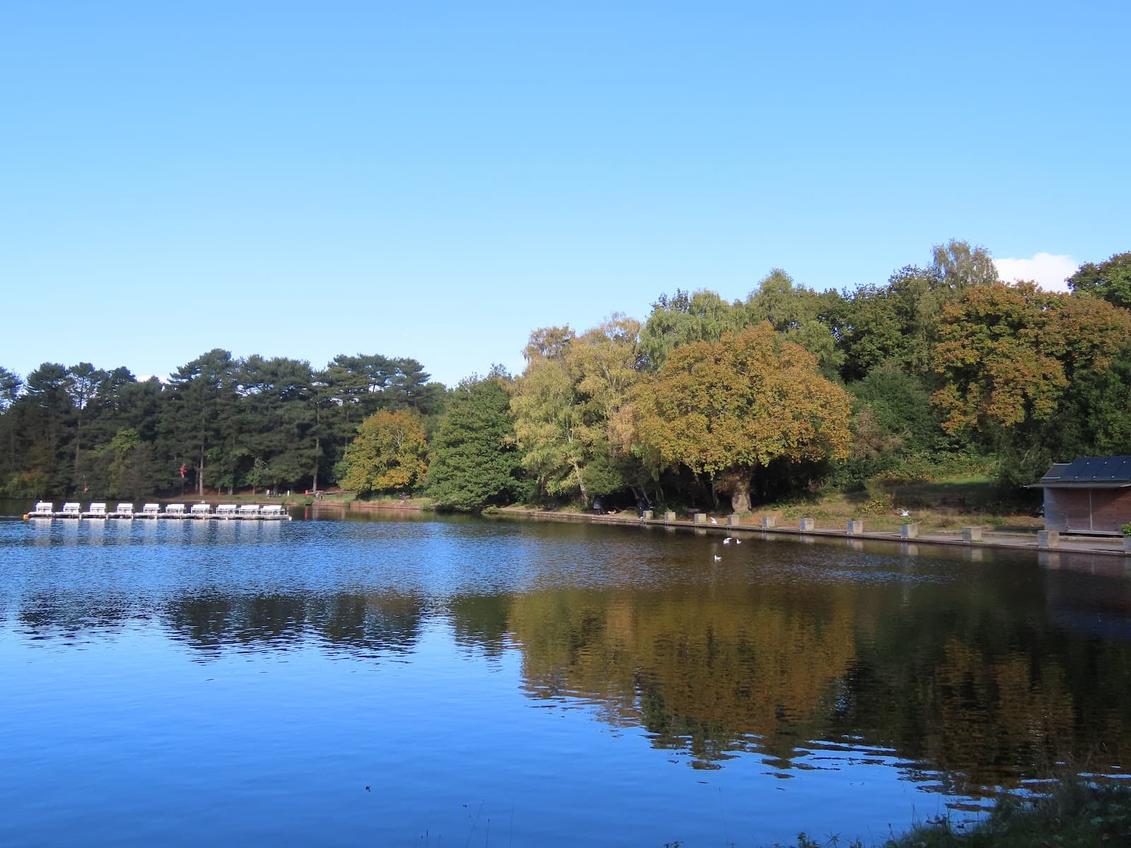 Blackroot Pool (Sutton Park) - Image 1