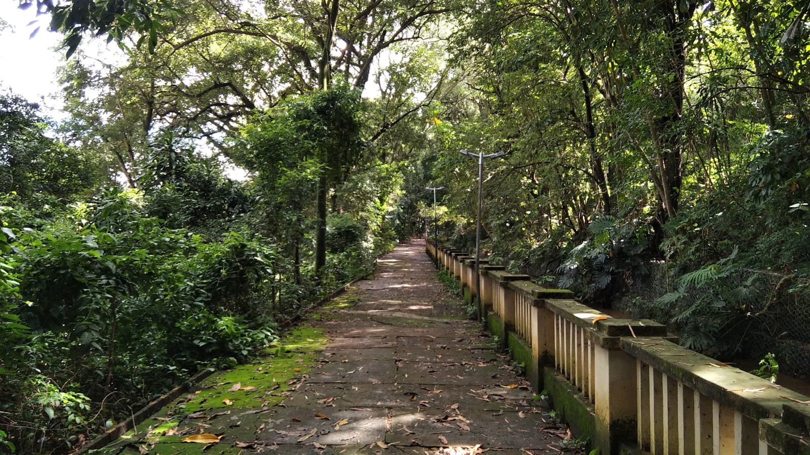 Parque do Mirante Piracicaba - Image 1