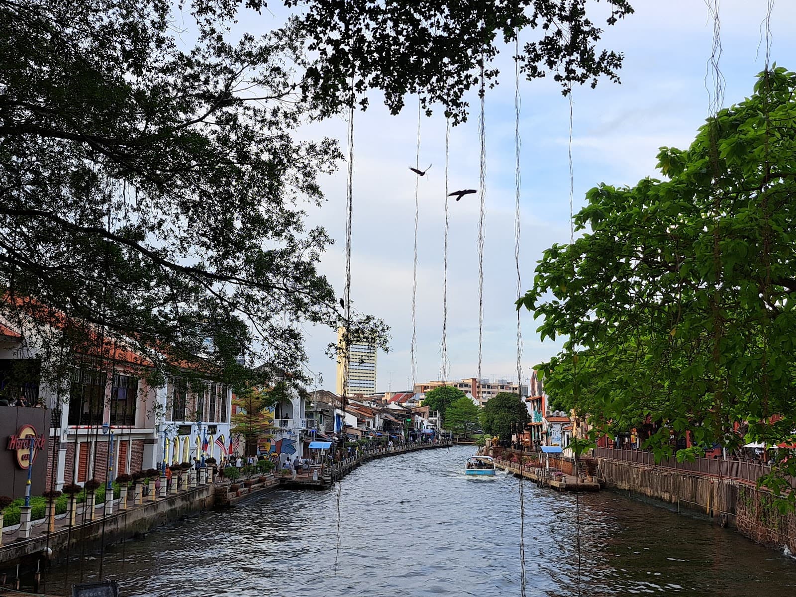 Tan Kim Seng Bridge - Image 1
