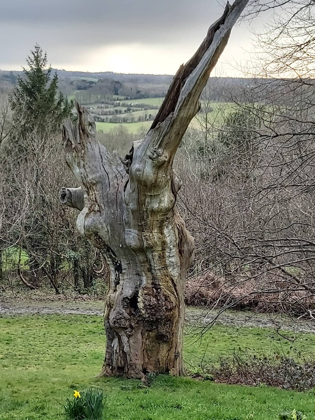 Historical Significance