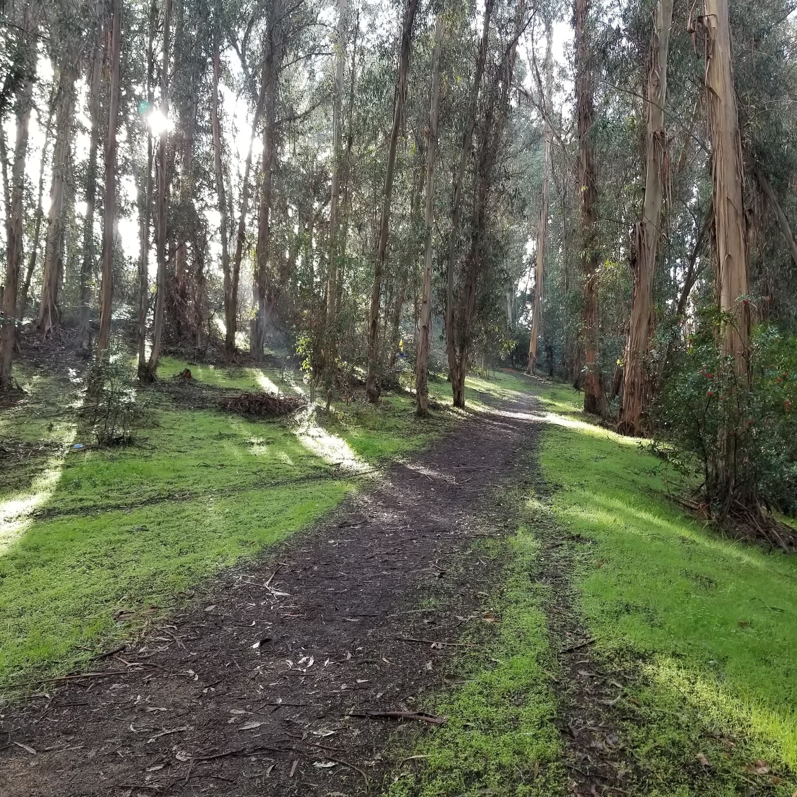 Hanns Park & Ridge Trail - Image 1