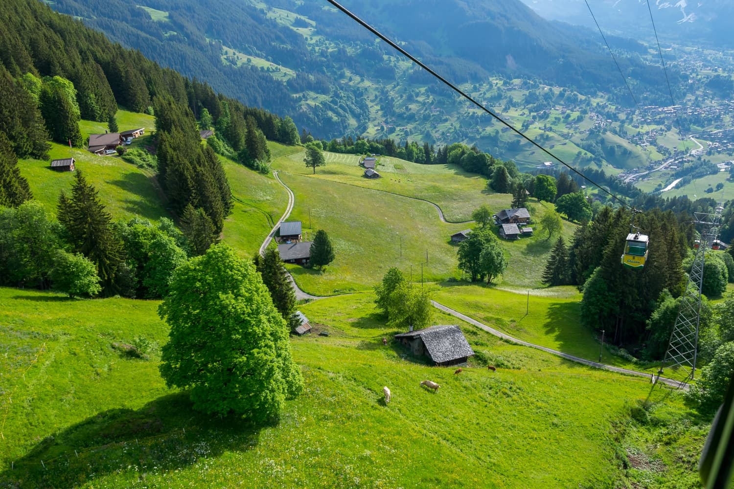 Grindelwald Terminal - Image 1