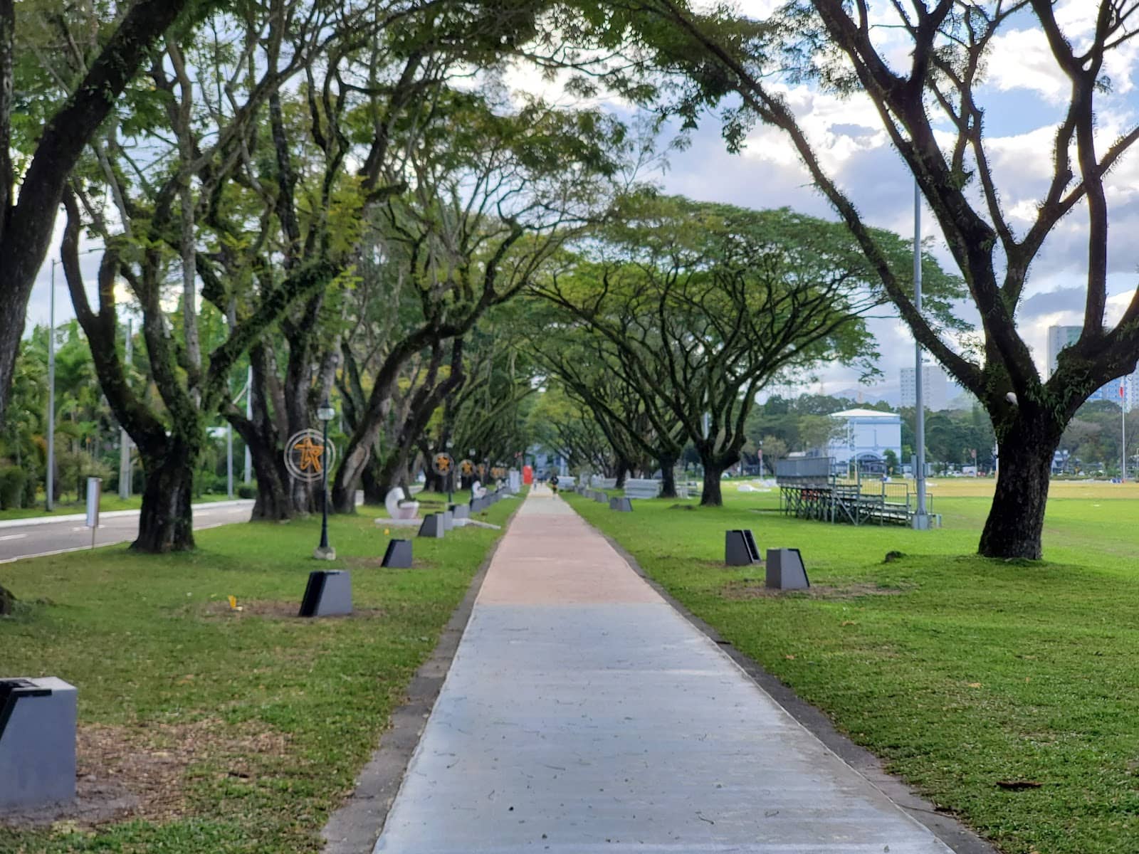 Spacious Green Fields