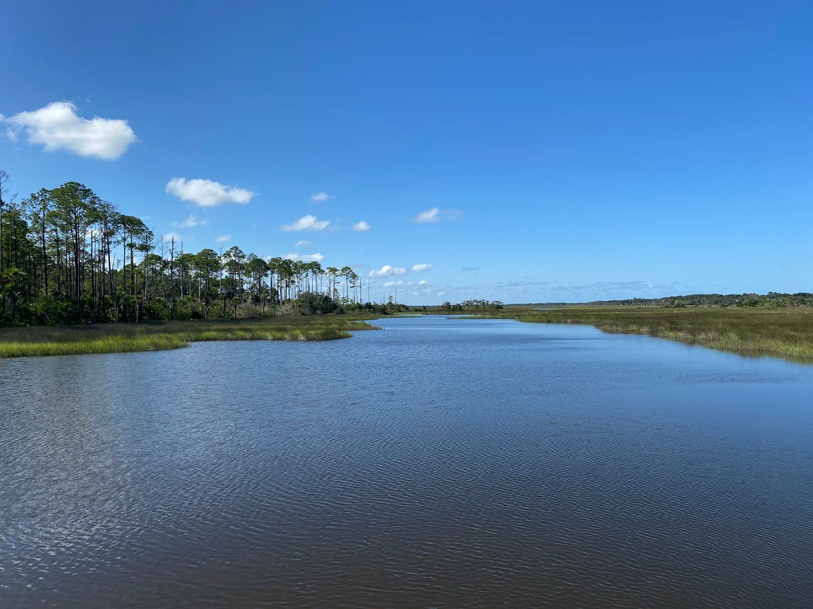 Dutton Island Preserve - Image 1