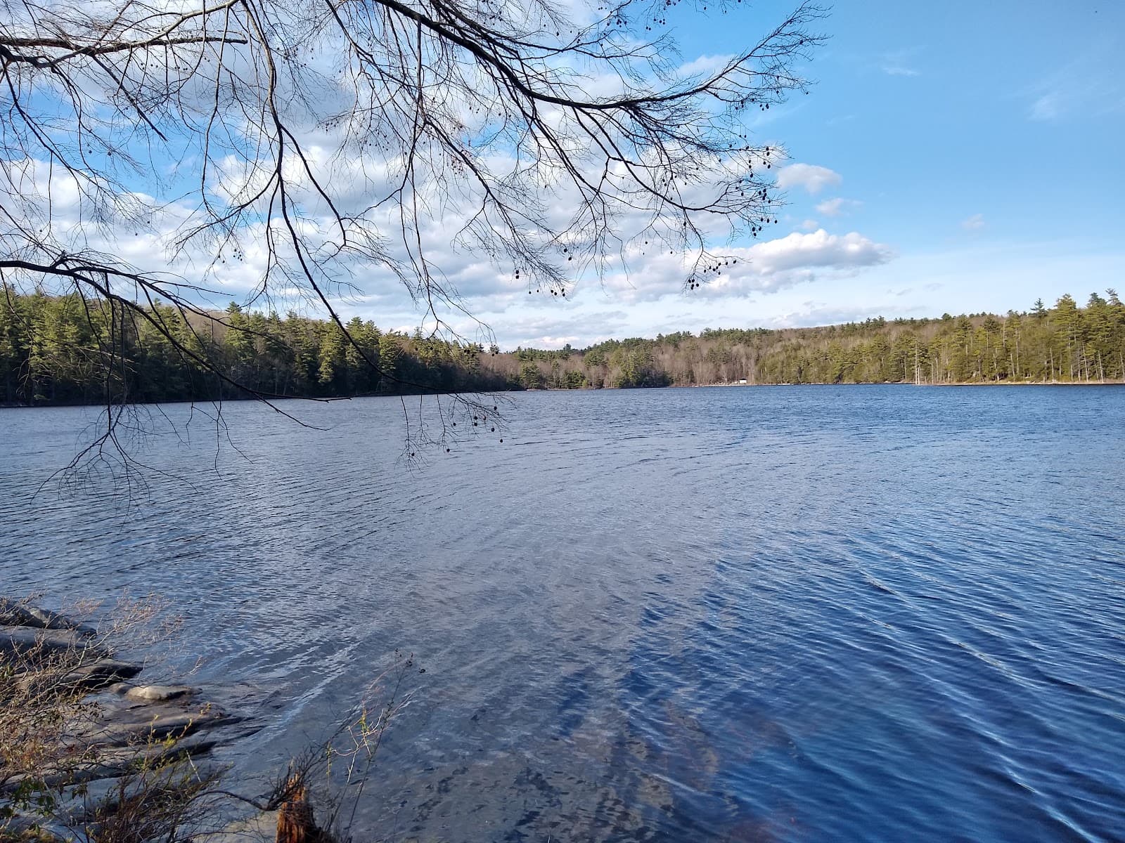 Jamie's Pond Wildlife Management Area - Image 1