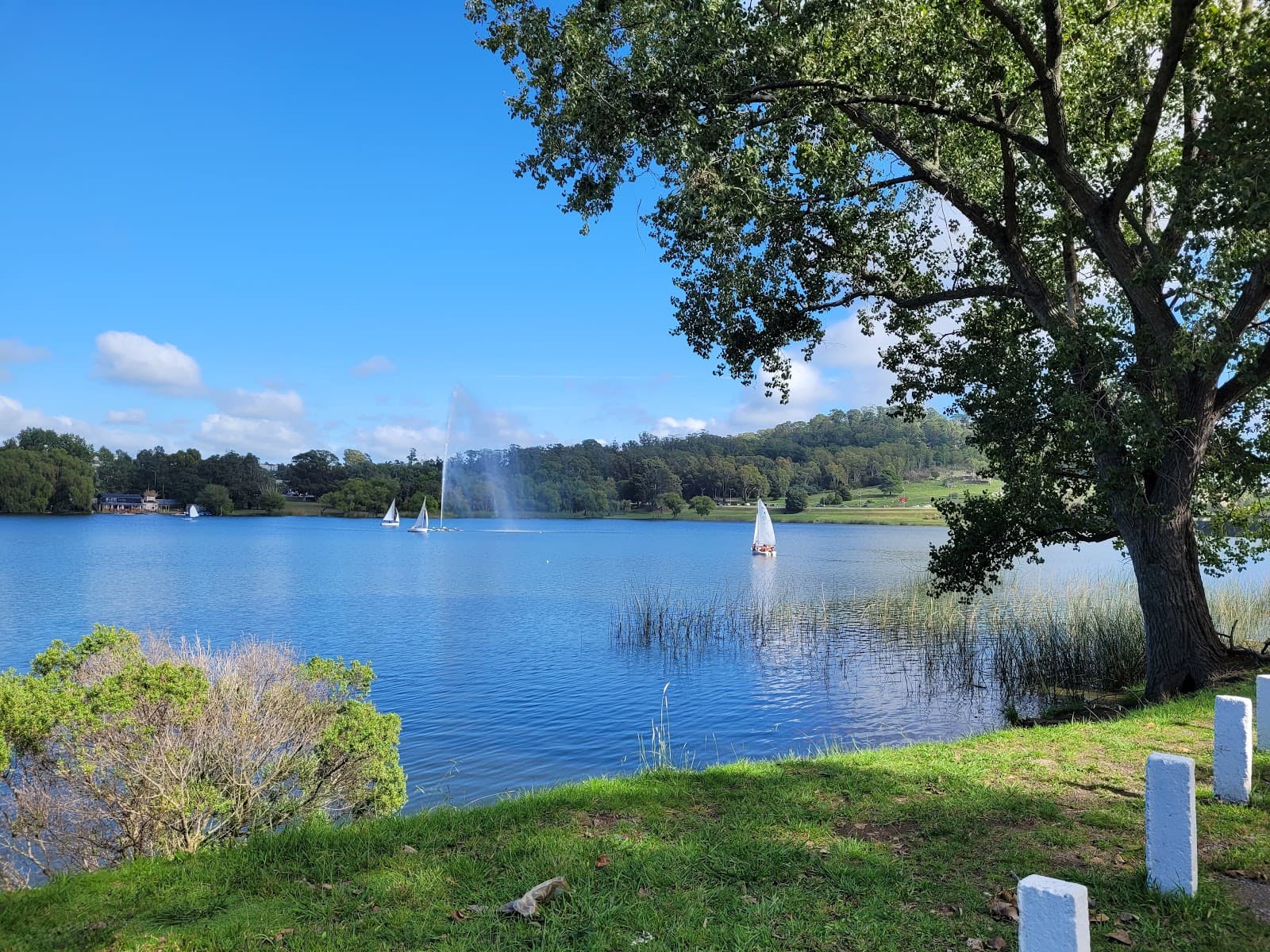 Lago del Fuerte - Image 1