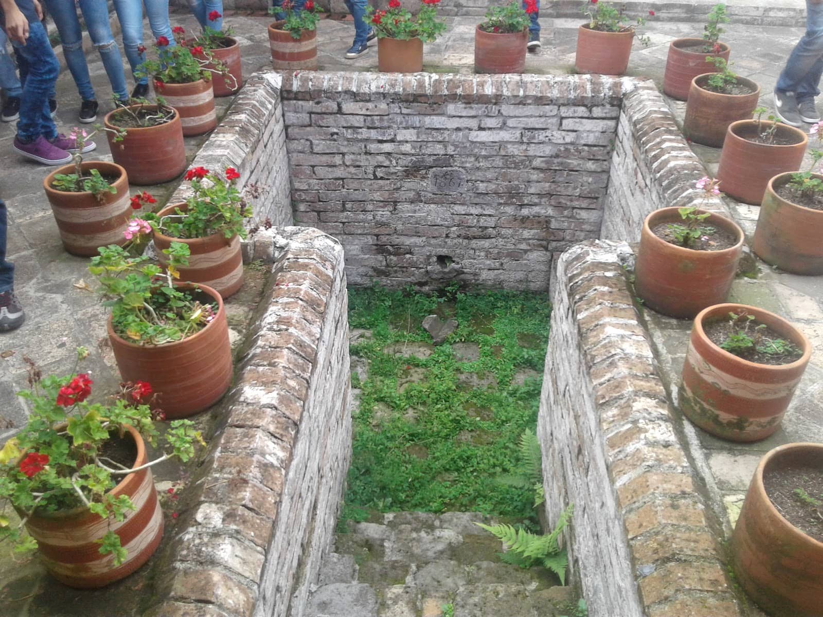 Vertical photo