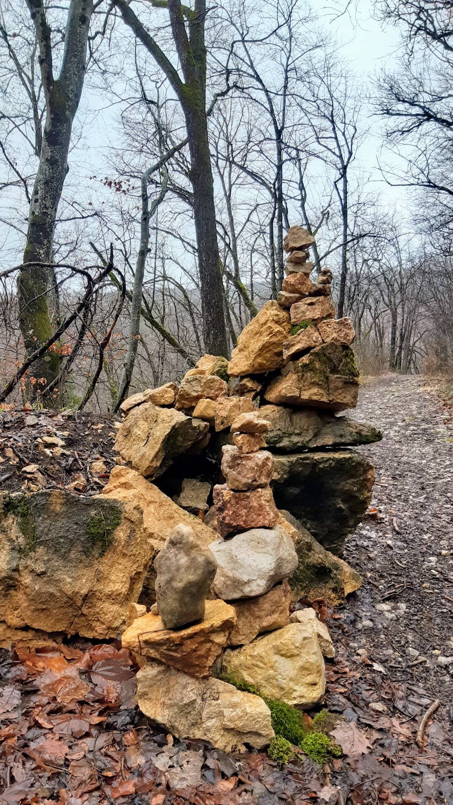 Vertical photo