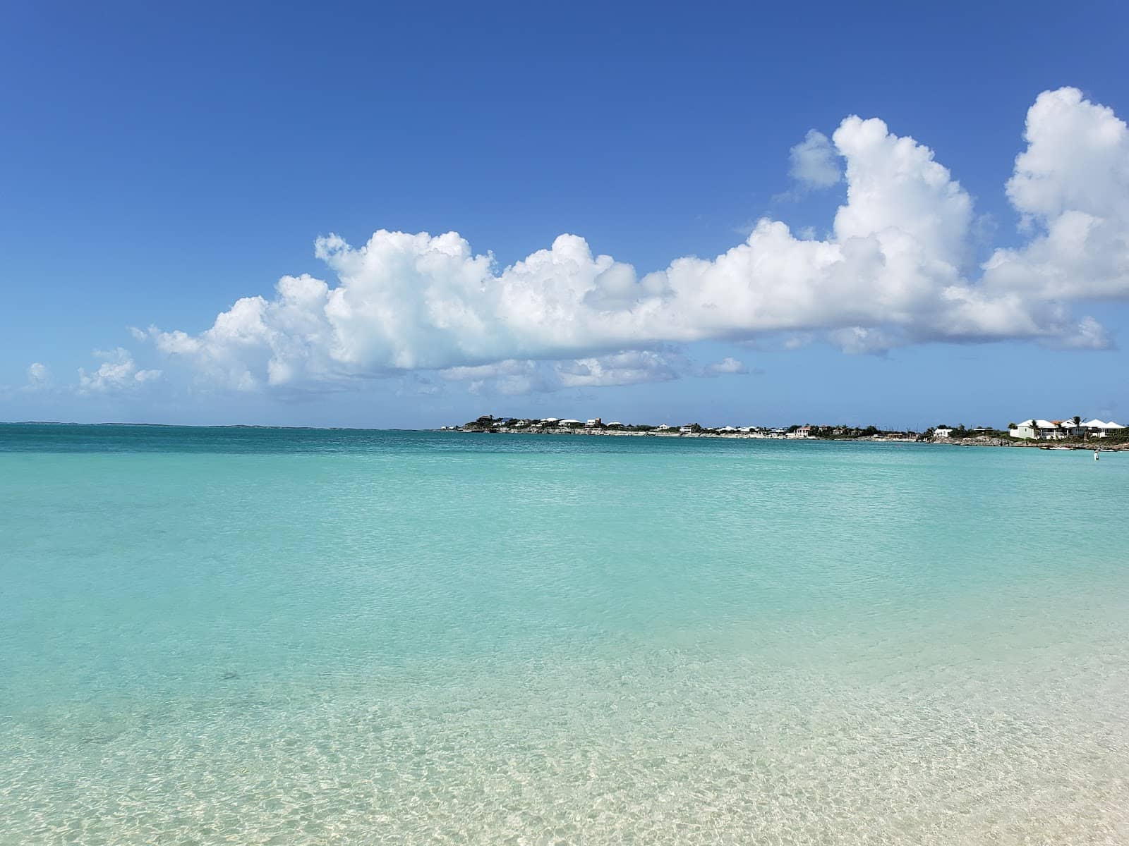 Local Beachside Bites & Drinks