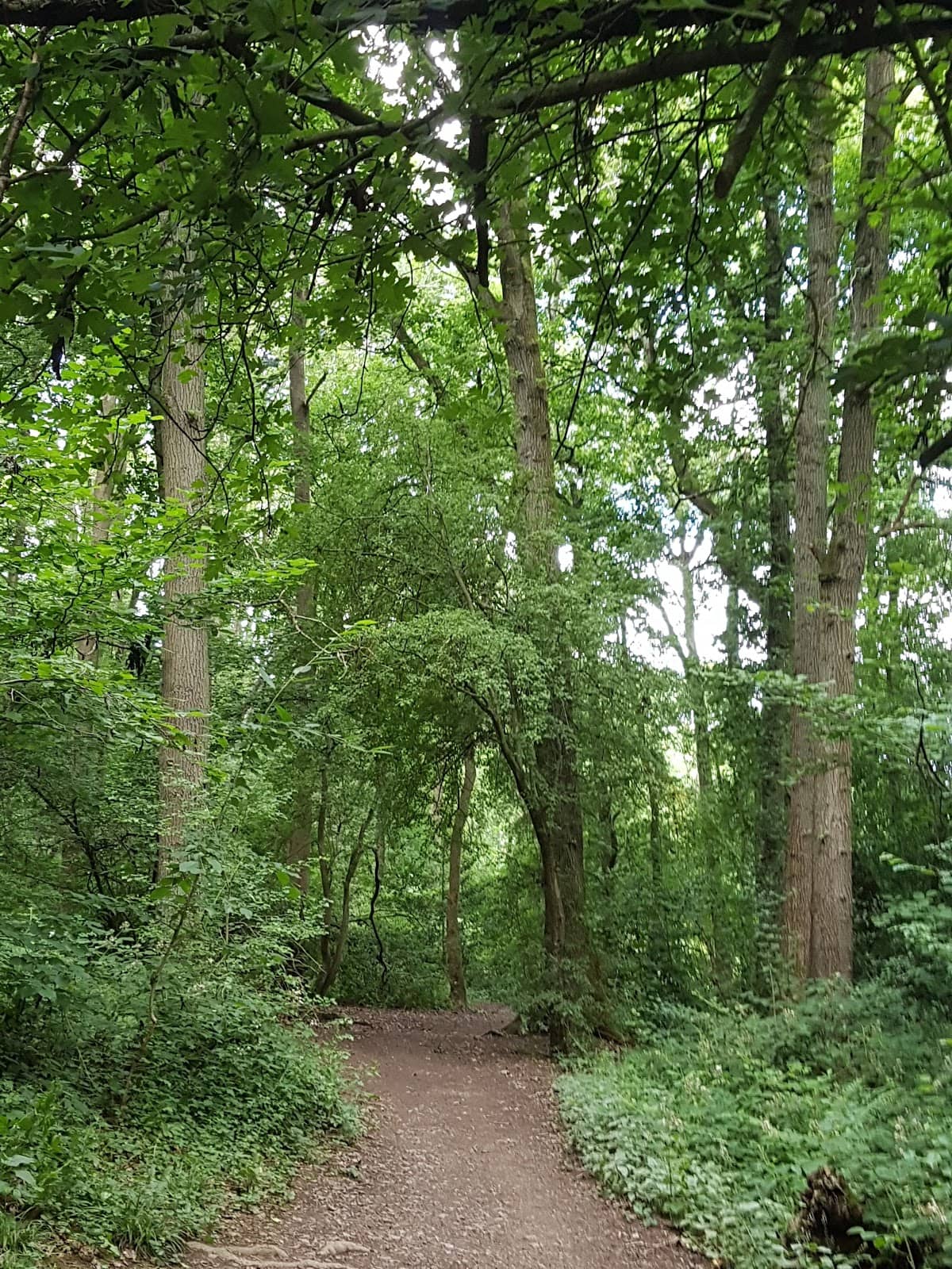 Park Events & Festivals