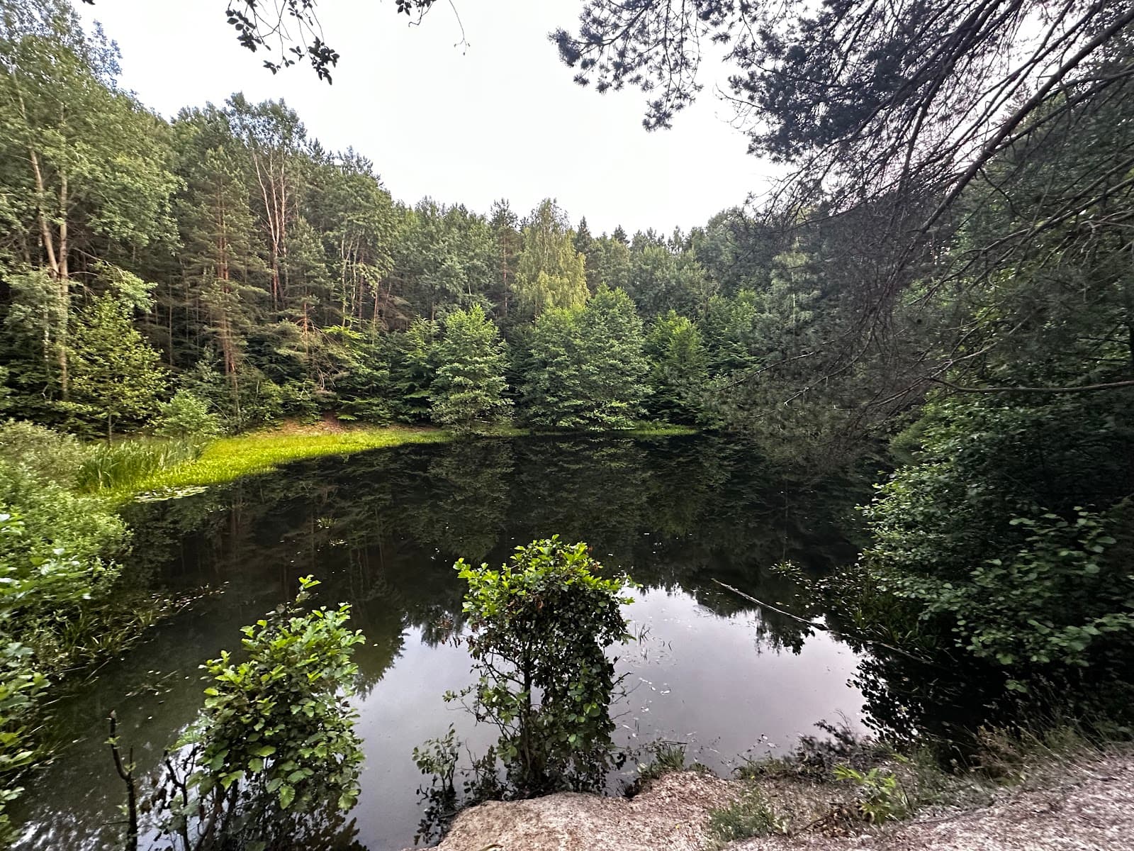 Biesak–Białogon Reserve - Image 1