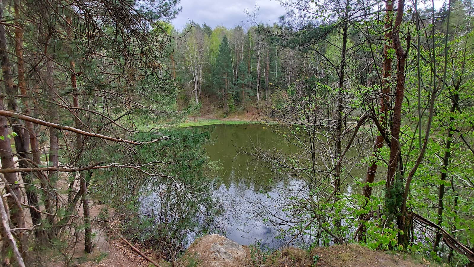 Vertical photo