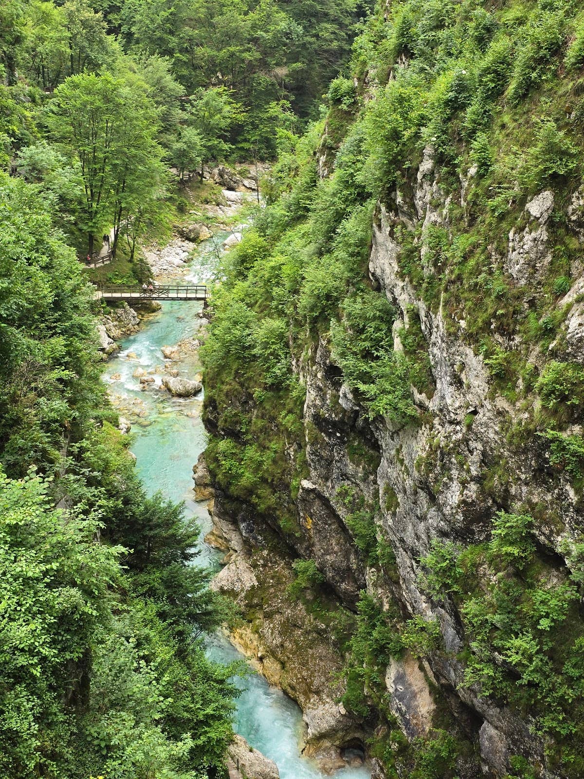 Vertical photo