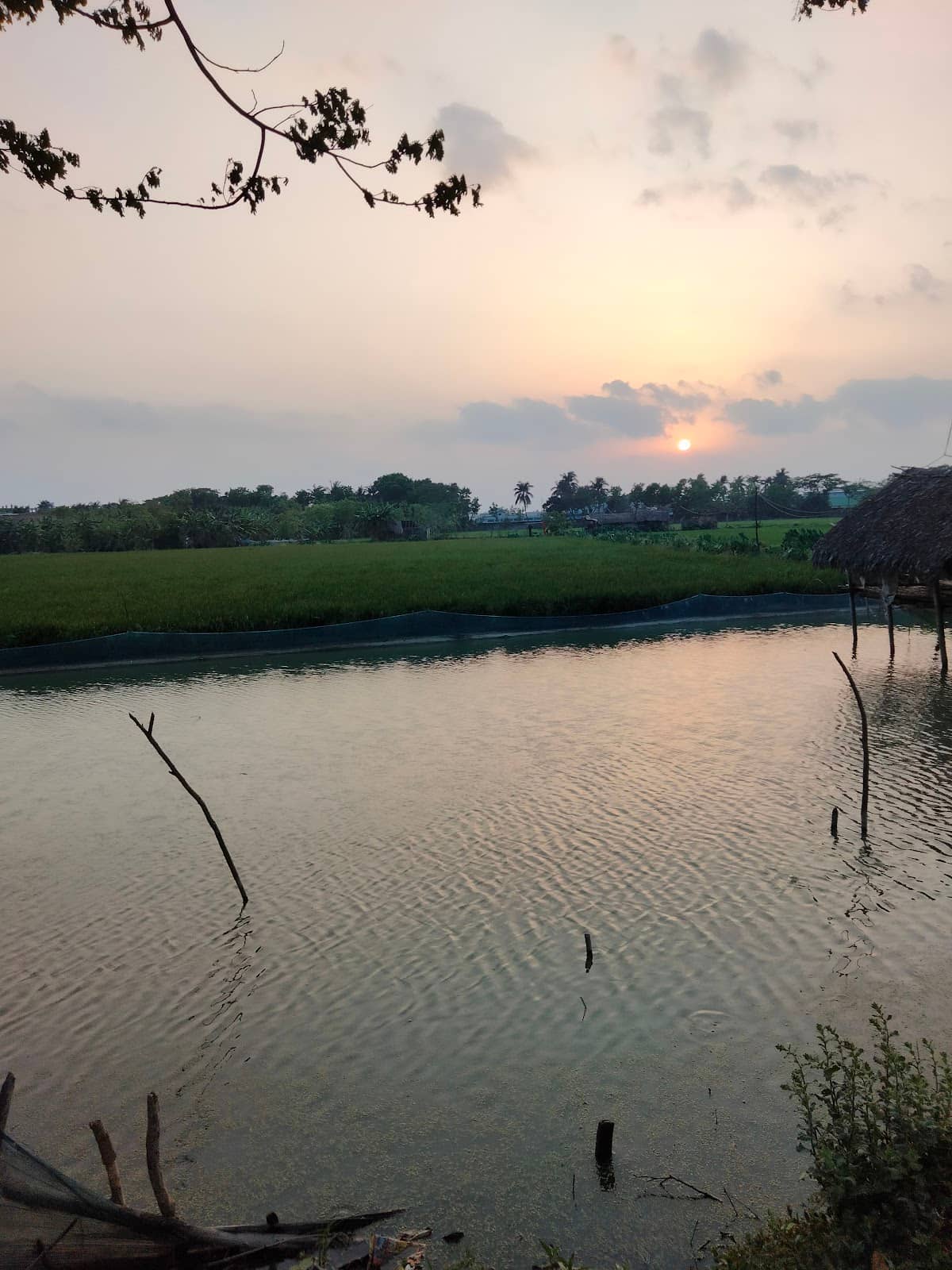 Boutique Jewelry Stores