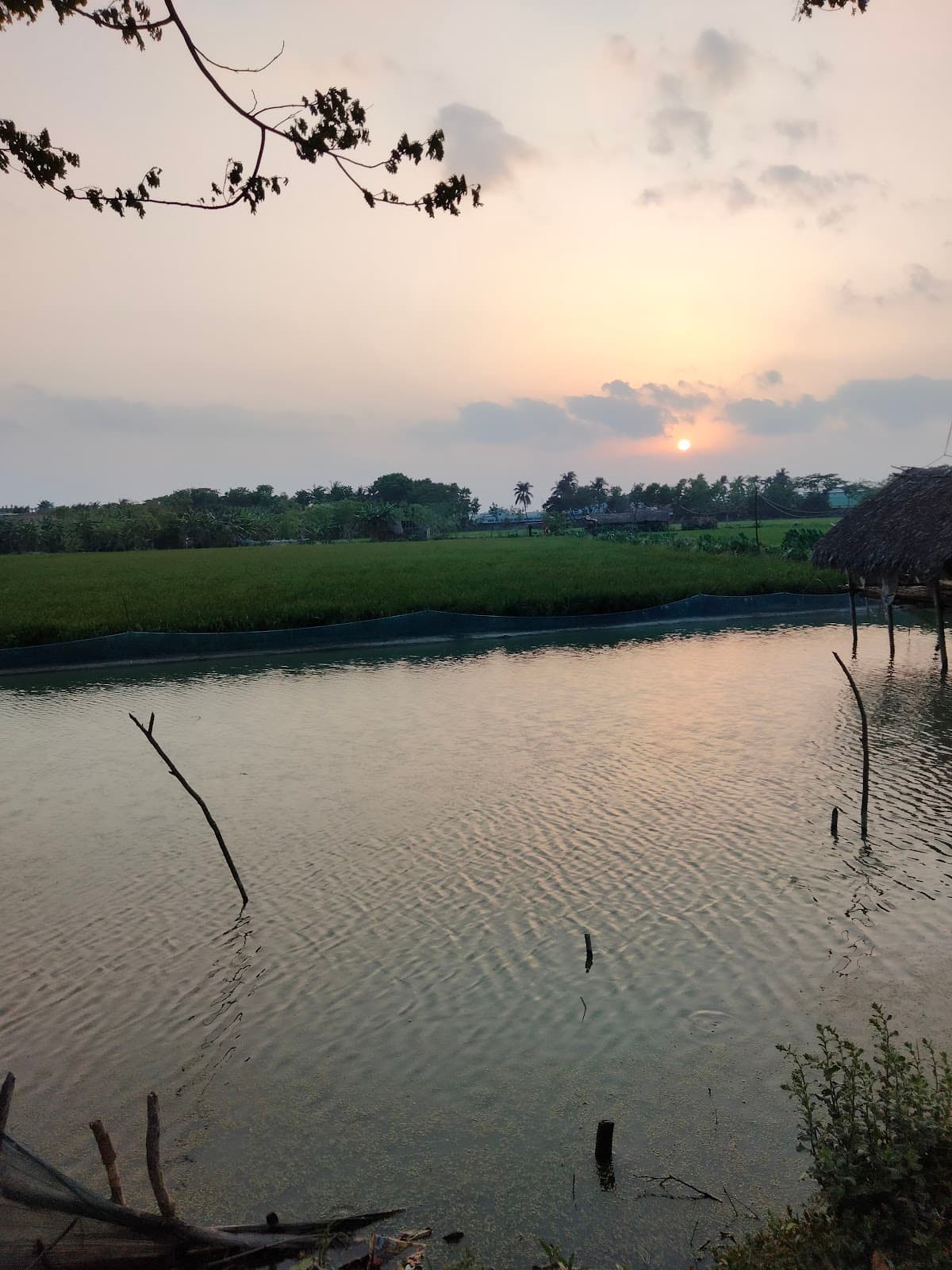 Various Locations - Image 1