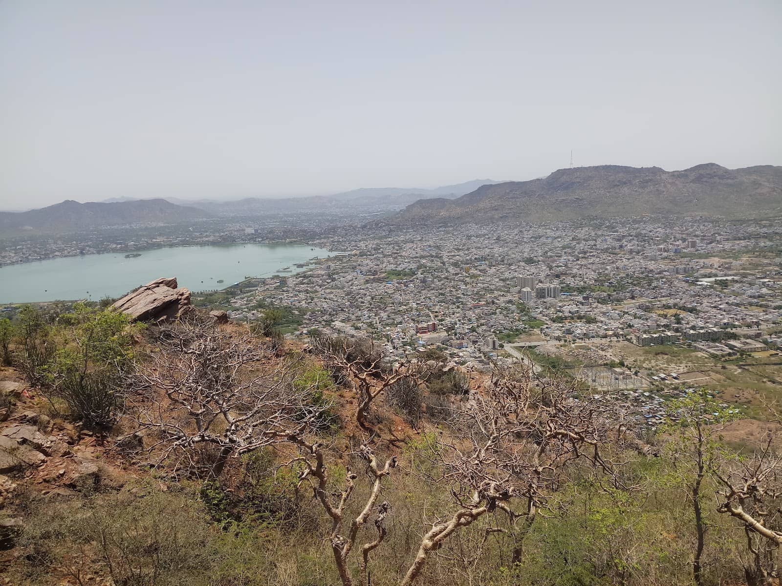 Panoramic Views