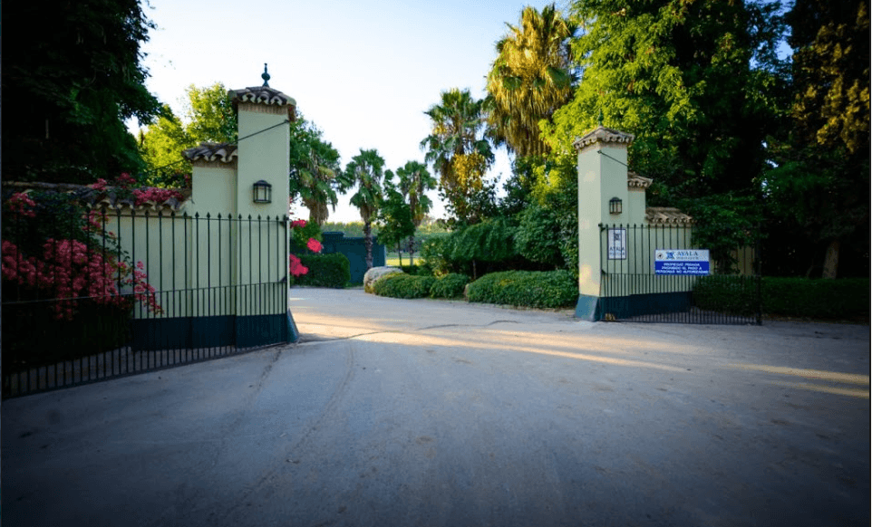 Youth Rugby Festival