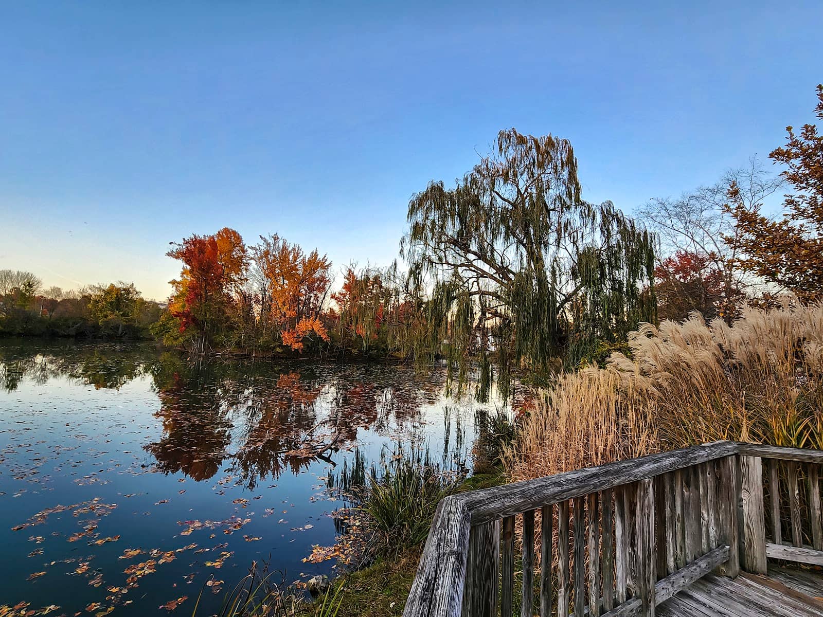 Gazebo and Balcony Views