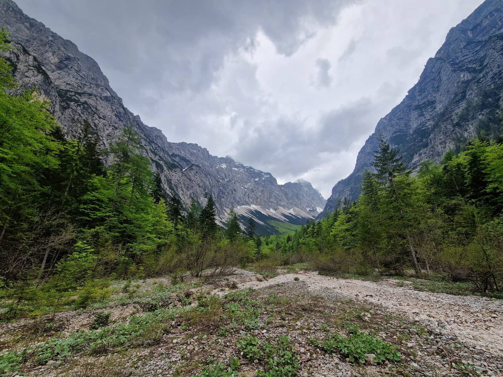 Vertical photo