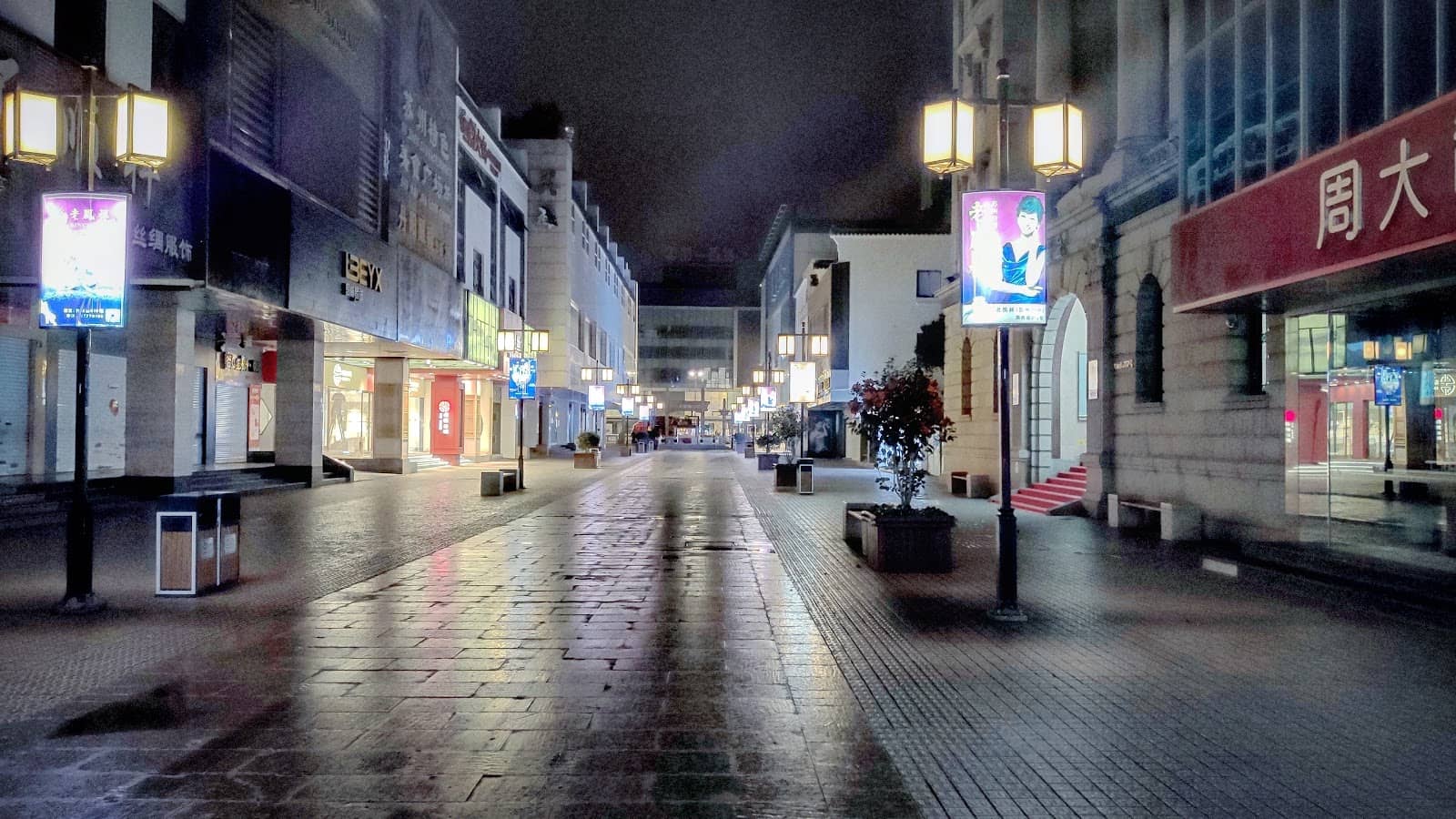 Local Street Food Delights