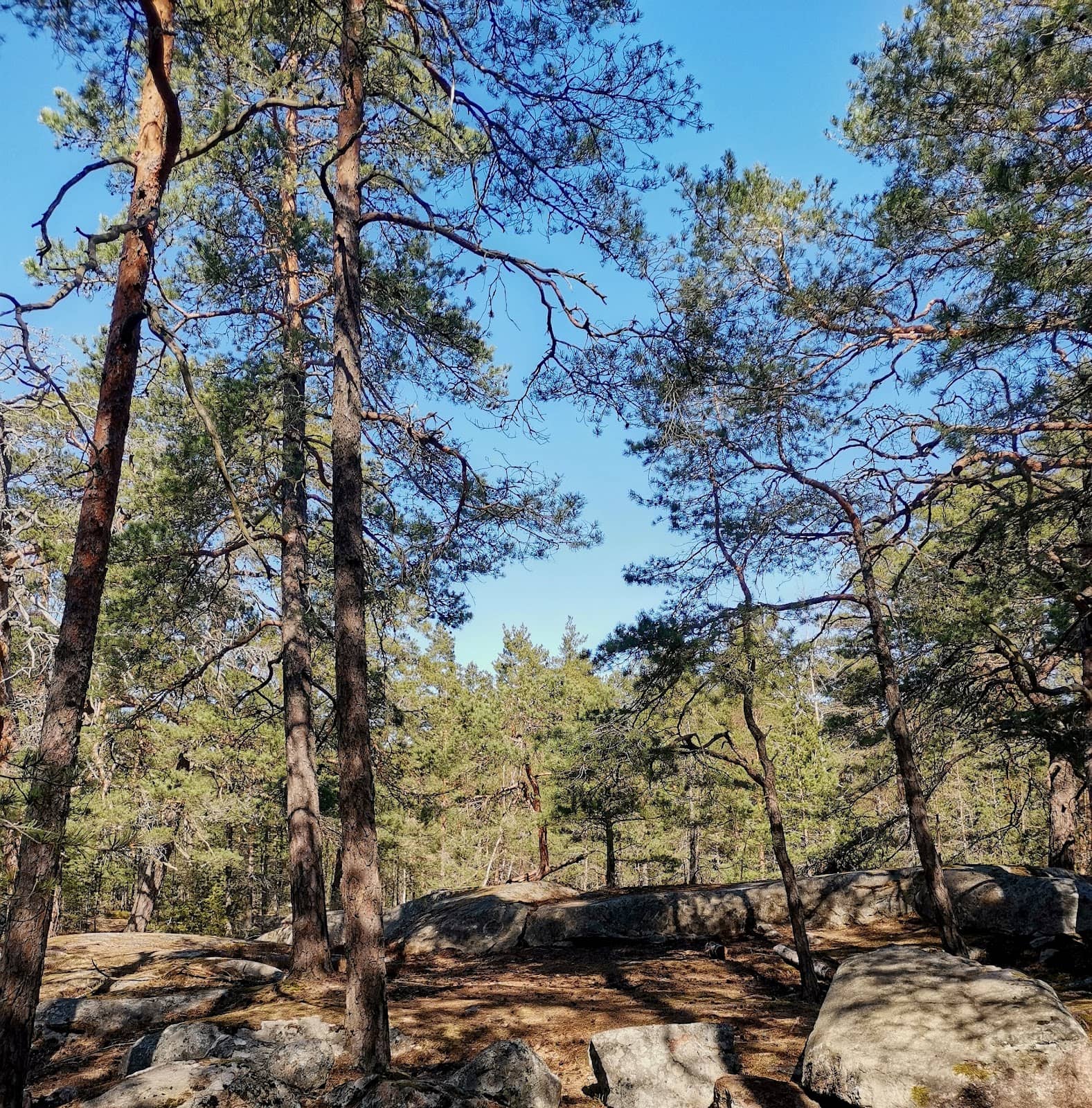Vertical photo