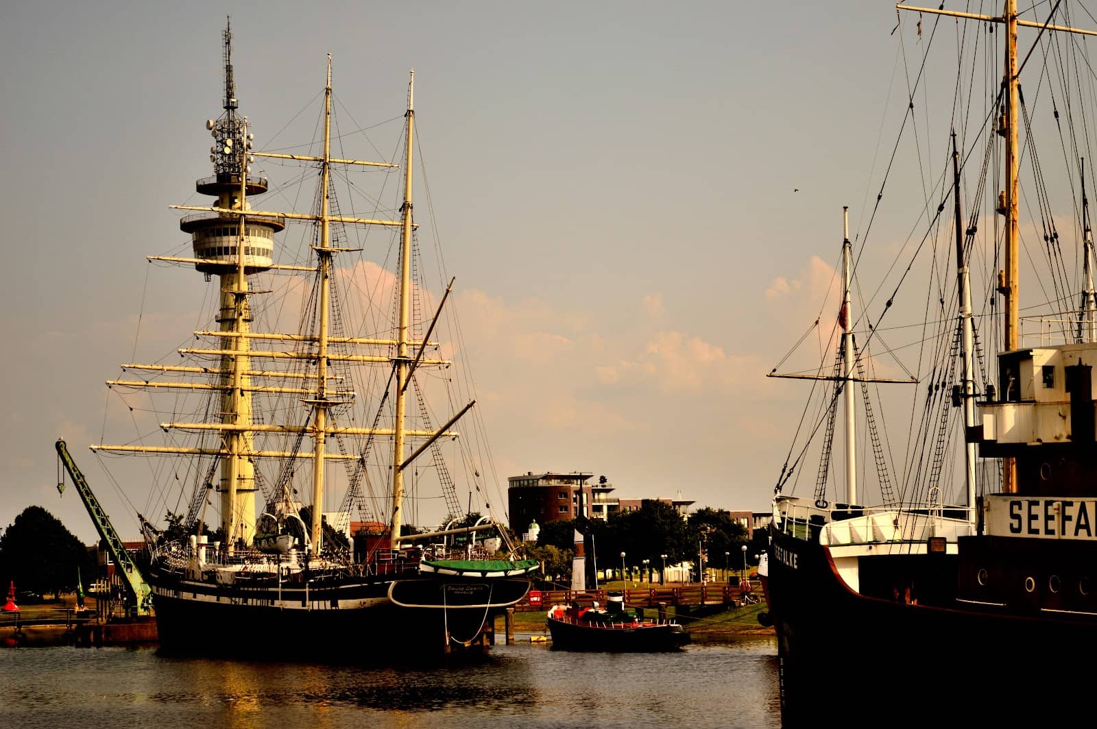 Fresh Seafood Delights