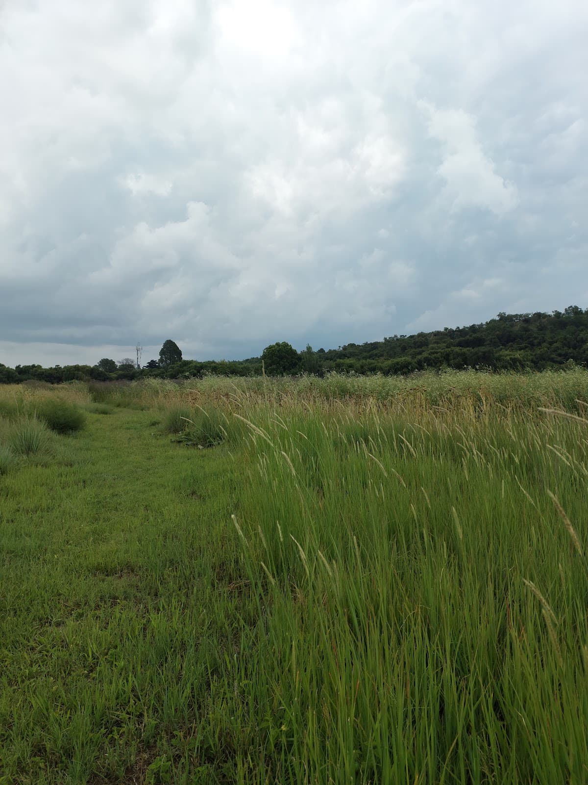 Colbyn Wetland Nature Reserve - Image 1