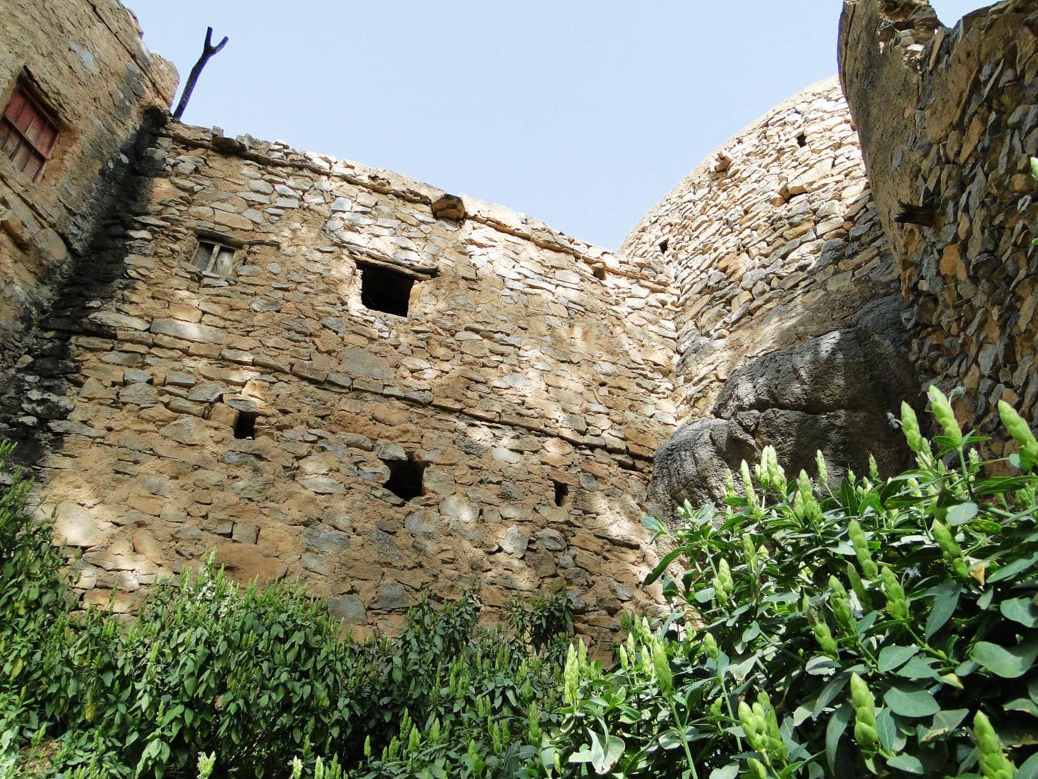 Vertical photo