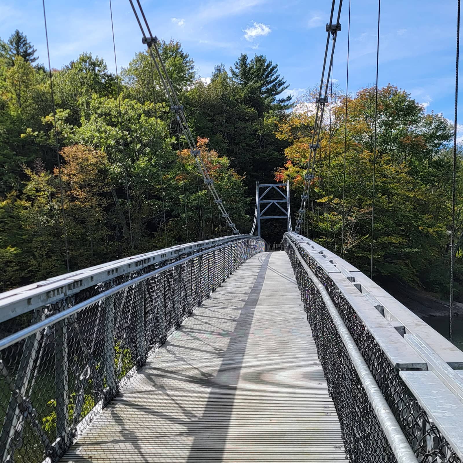 Long Trail Section