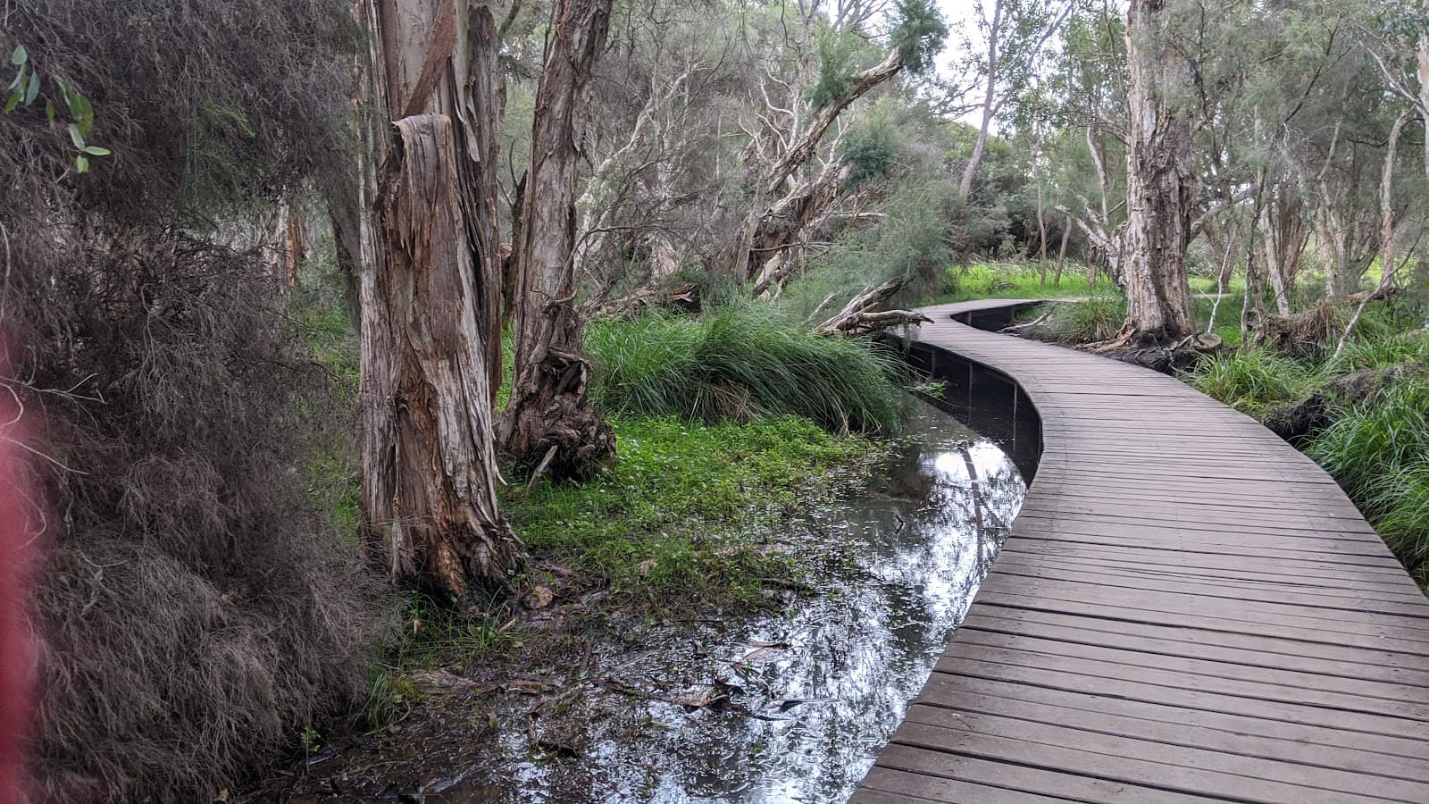 Beenyup Swamp Boardwalk - Image 1