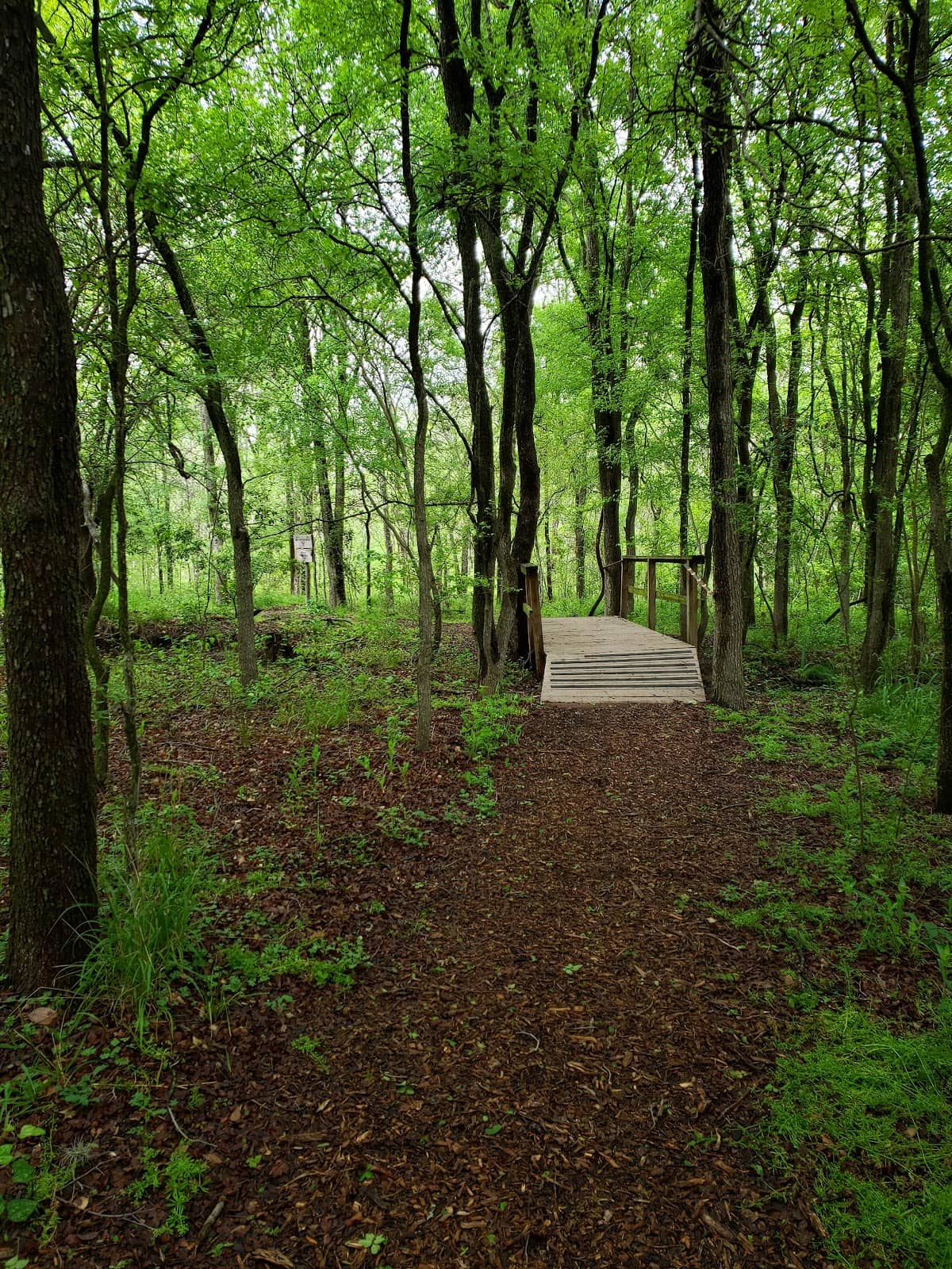 Shaded Walking Trails