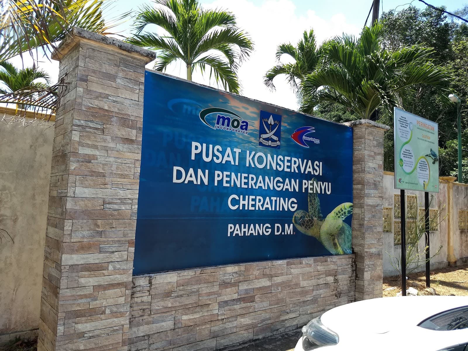 Cherating Turtle Sanctuary - Image 1