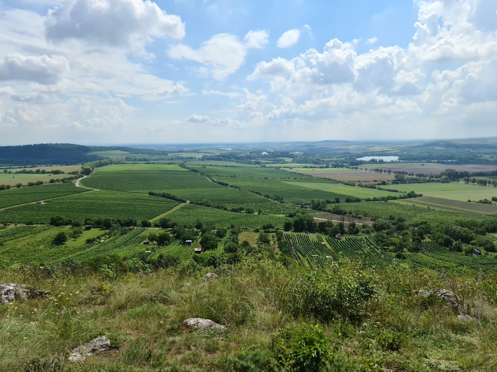 Pálava Hills - Image 1