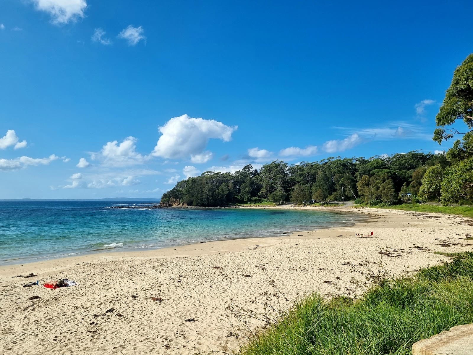Bendalong Stingrays (Boat Harbour) - Image 1