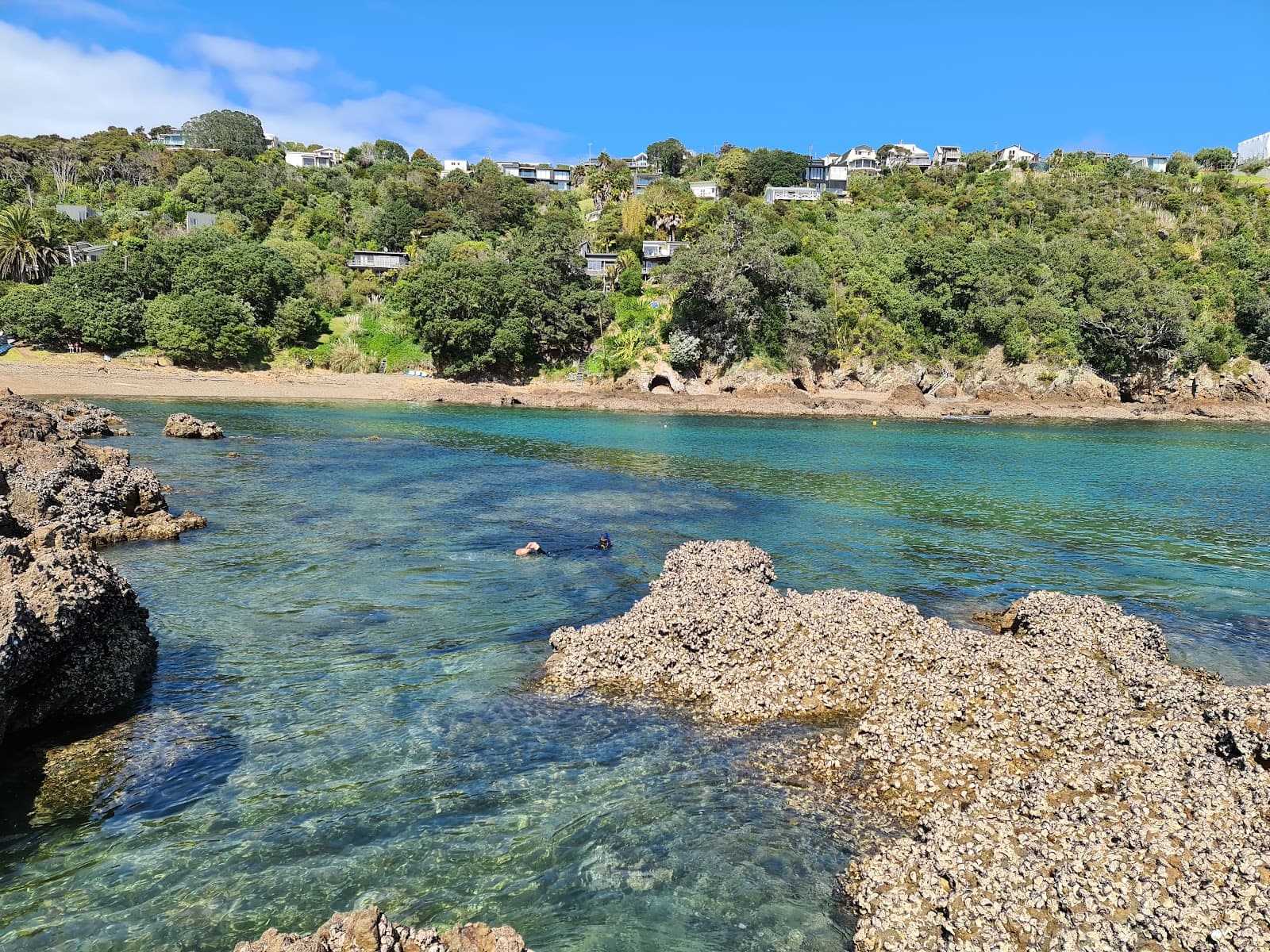 Hekerua Bay - Image 1