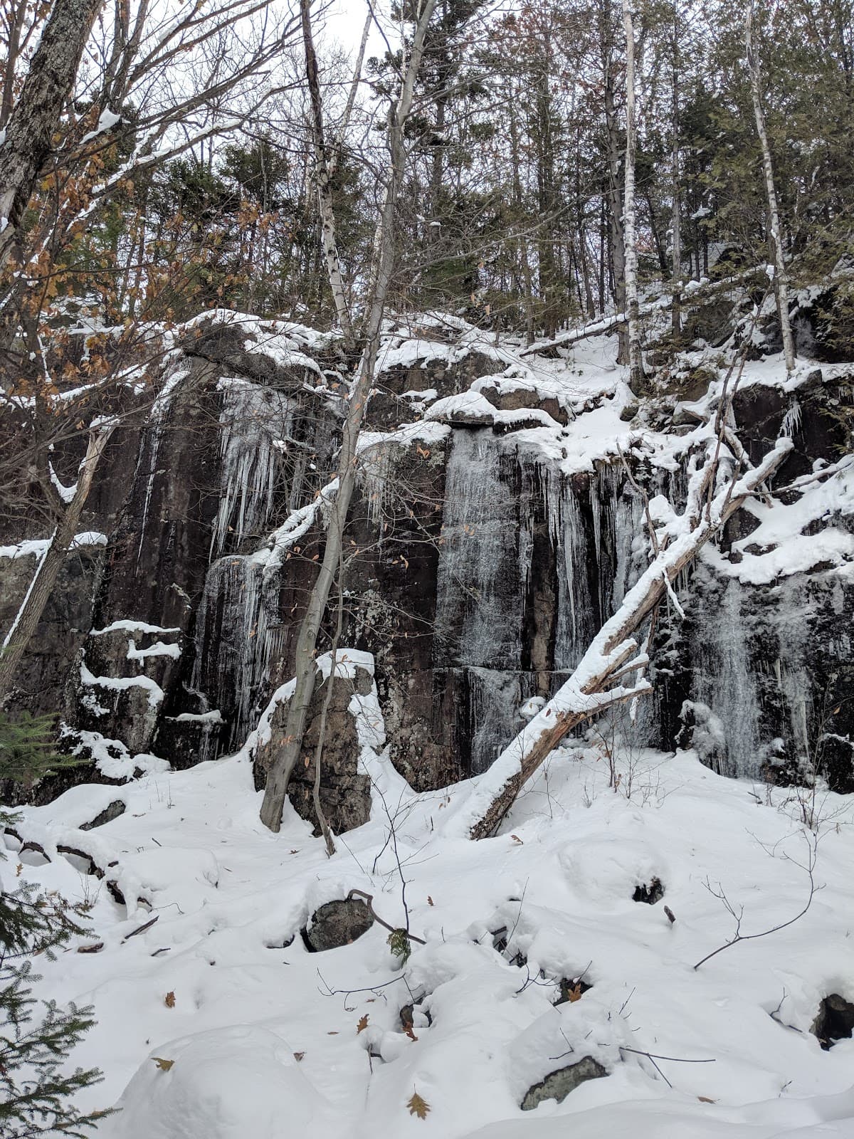 Val-David–Val-Morin Regional Park - Image 1