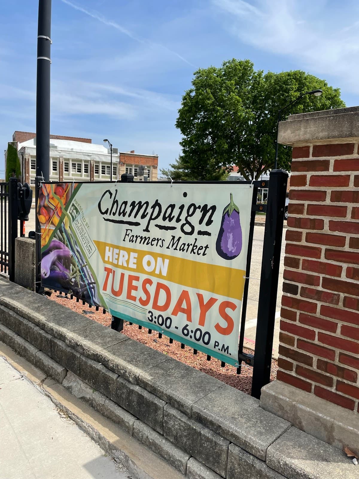 Champaign Farmers Market - Image 1