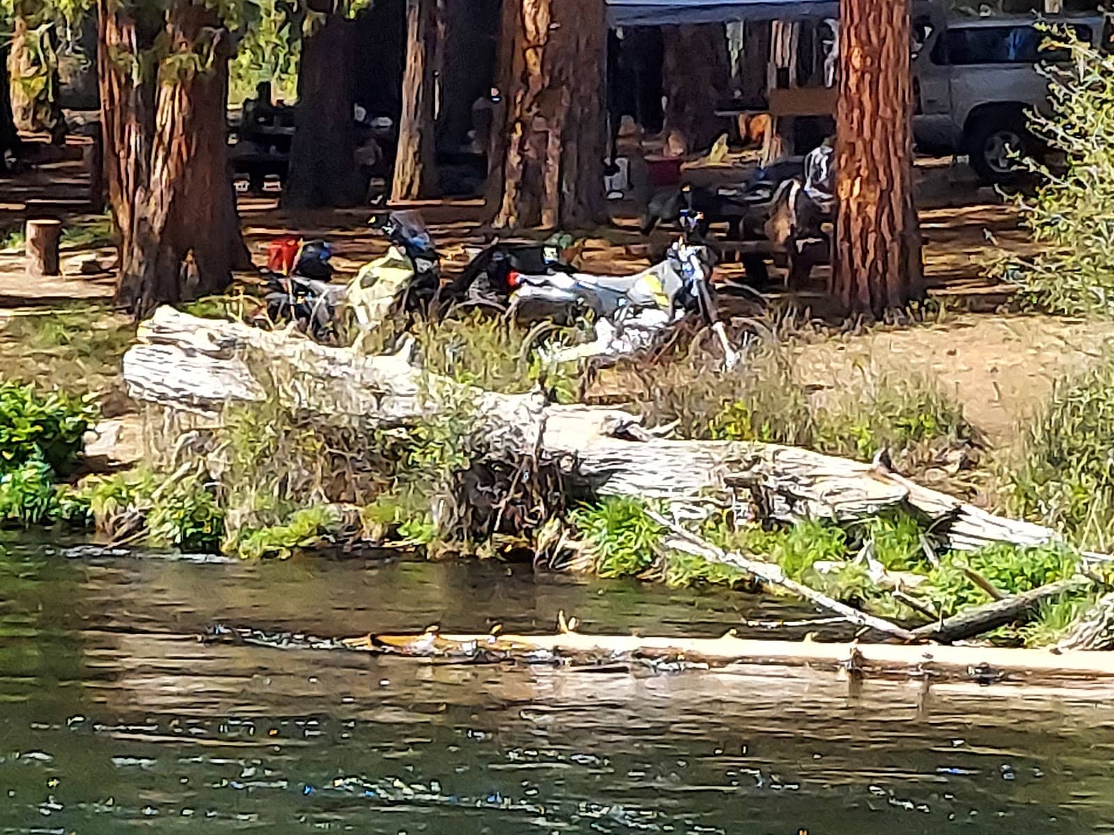 Spacious Riverside Campsites