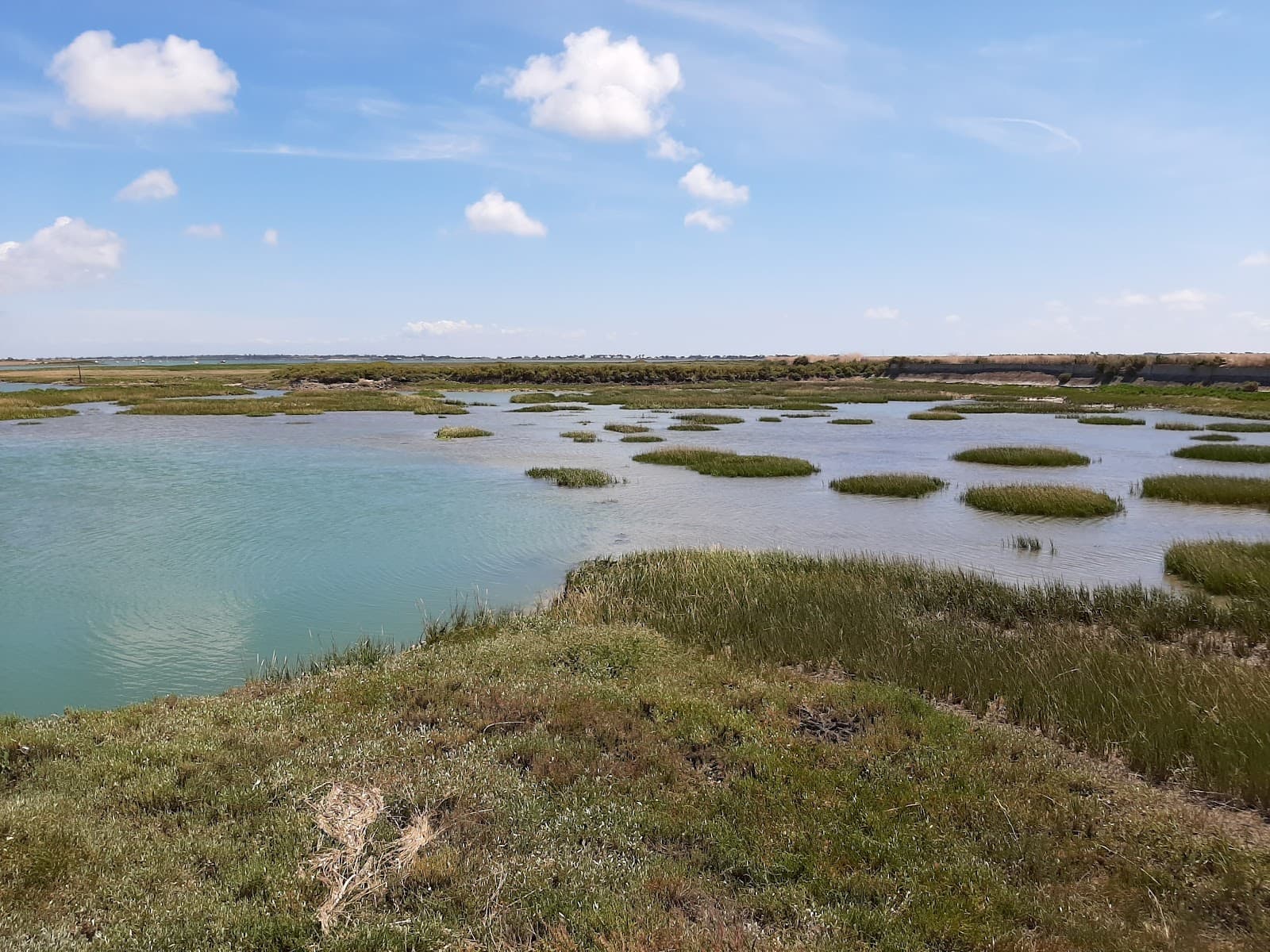 Réserve Naturelle de Lilleau des Niges - Image 1