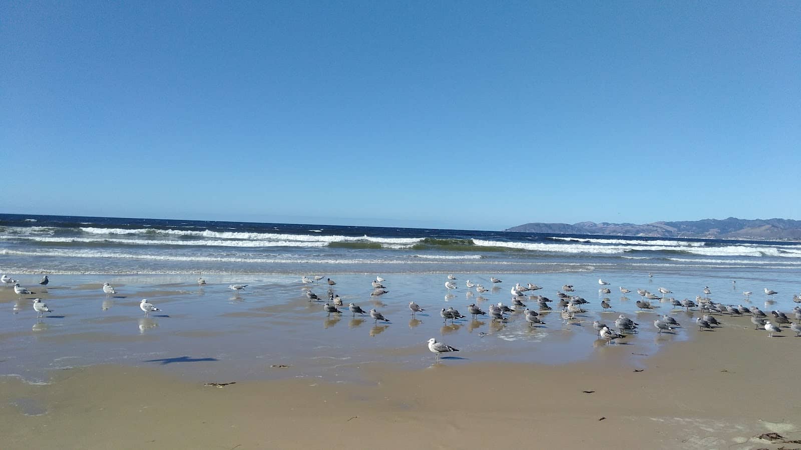 Oceano Dunes SVRA