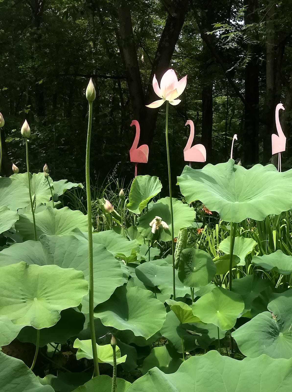 Bishop Educational Gardens - Image 1